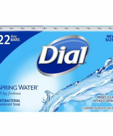 DIAL SPRING WATER BAR SOAP, 22 PACK